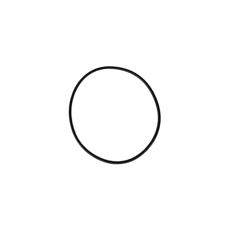 Astral / Hurlcon Series 3 Seal Plate Pump O-Ring - 70030