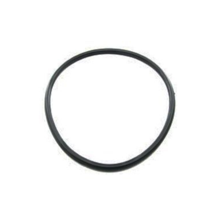Waterco 40mm Tank to MPV O-Ring - 62100