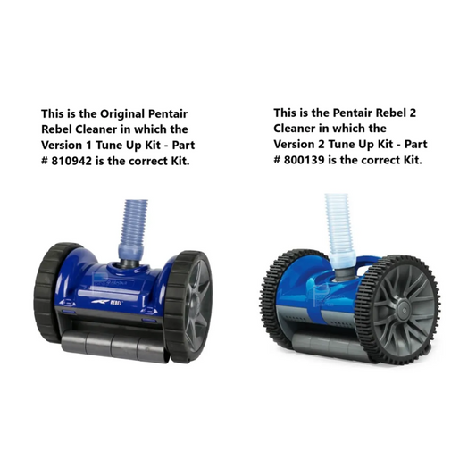 pentair rebel tune up kit