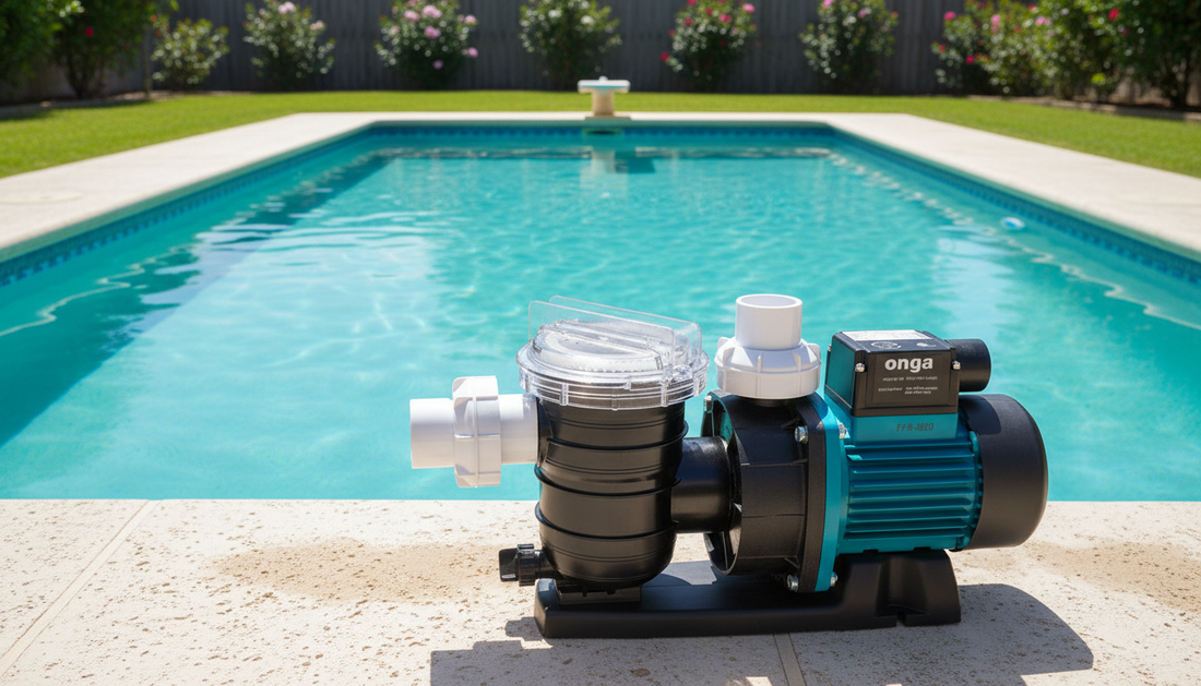 Understanding Pool Anatomy: Key Components for Maintenance and Care
