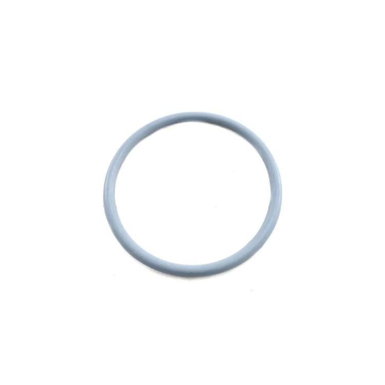 thumbnail image 2 of Astral Hurlcon Salt Cell O-Ring 78104 – Genuine Replacement Part 2 of 6