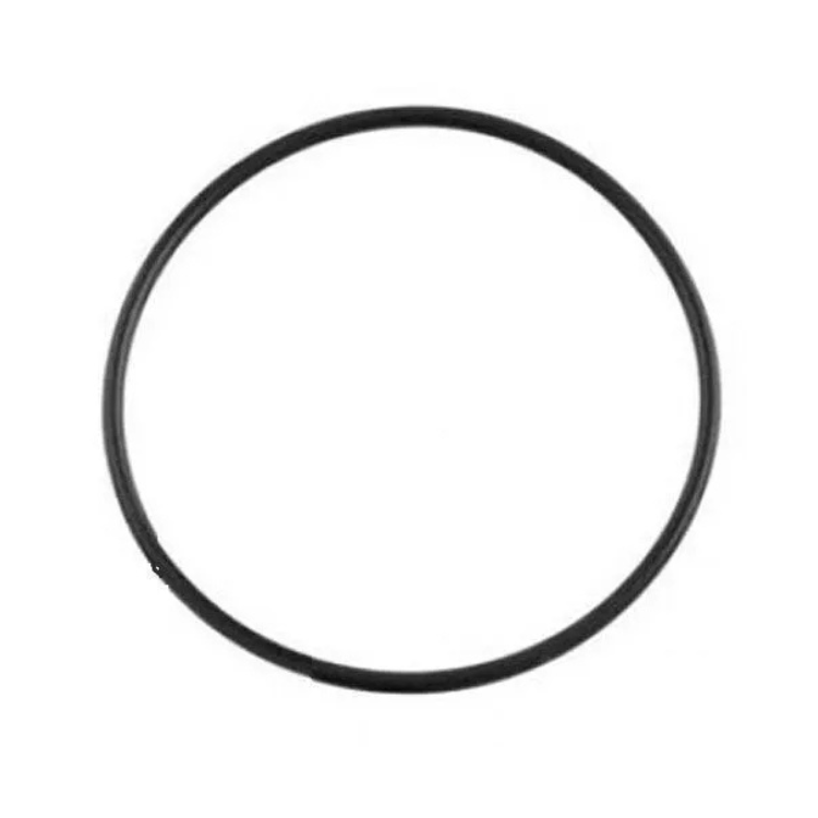 AstralPool Viron CL Cartridge Filter Lid O-Ring - 1005501