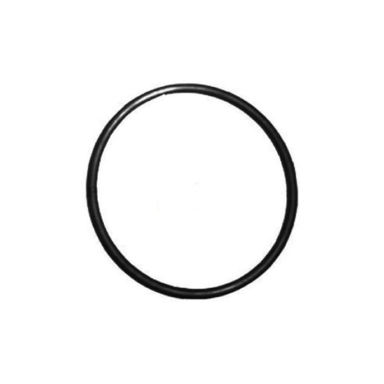 Onga Pantera (Original model) / Quiptron Cartridge Filter Lid O-Ring (OR024M)