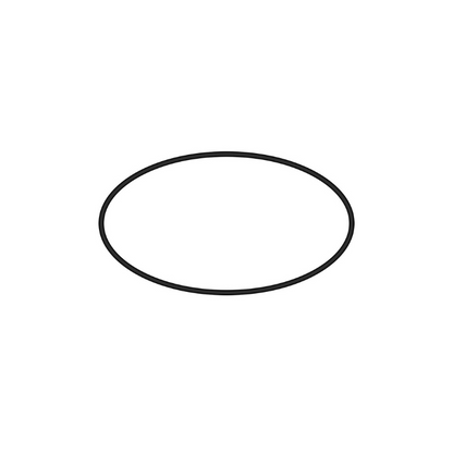 Onga Pantera / Sta-Rite MPV Cover O-Ring - Part # OR018M